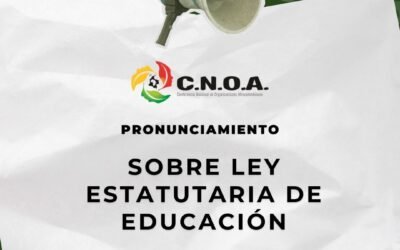 PRONUNCIAMIENTO SOBRE LEY ESTATUTARIA DE EDUCACIÓN