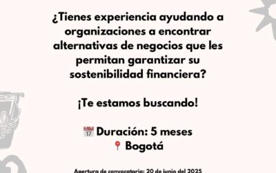 ¡Atención consultor en modelo de negocio